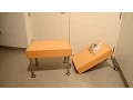 A 3-D Printed Functionally Graded Soft Robot