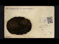 Rauw Alejandro - NÁUFRAGOS (Official Lyric Video)