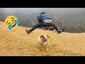 TikTok Try Not To Laugh Challenge
