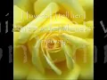 Download Lagu How can i tell her  By.Lobo With Lyrics