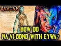 Na vi Anatomy Explored - Are Na vi Species truly native to Pandora Or Did They Migrate From Somewhere
