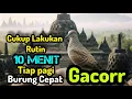 Download Lagu Lakukan secara rutin tiap pagi || pasti burung makin GACOR @mangoendjoyochannel8053