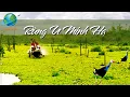 Download Lagu Khám phá Cà Mau - rừng U Minh Hạ siêu rẻ - TopTour 1900 636 712 - 0938 309 486