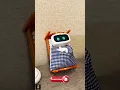 Download Lagu Robot canggih dengan kecerdasan AI #shorts