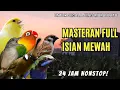 Download Lagu MASTERAN MURAI BATU BESETAN KASAR TEMBAK PANJANG ❗ 100% AUTO GACOR