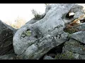 Download Lagu Did Dragons Rule Humans Long Ago as was Recorded