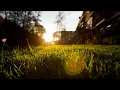 Bonobo - Terrapin