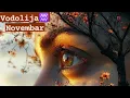 VODOLIJA ♒️ 15. - 30. Novembar ♒️ Dugo očekivani ishod! 💝