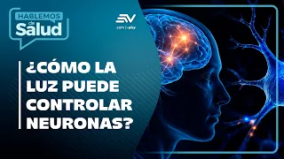 ¿Cómo encender neuronas con luz? El Nobel de Medicina | Hablemos De Salud🩺| Ecuavisa