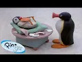 Download Lagu Pinga is Born 🐧 | Pingu - Official Channel | Cartoons For Kids