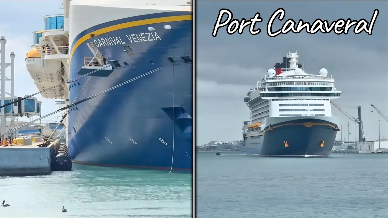 Did You Catch These Port Canaveral Live Moments?