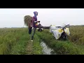 Download Lagu ojeg padi  | salam satu galeng | Ojeg padi ini suka sekali basah-basahan,suka sekali main di air.