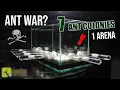 7 ANT COLONIES in 1 ARENA ANT WAR or JOIN FORCES