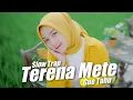 Download Lagu Slow Trap ❗️ Terena Mete x Gue Tau Makannya Kacang ( DJ Topeng Remix )