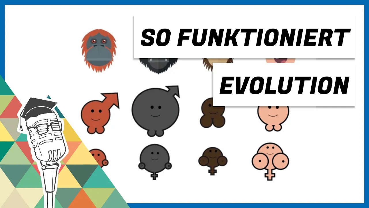 Affenpenise bzw. So funktioniert Evolution • Prof. Kristan Schneider • Saxony⁵ Science Slam