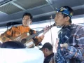 Download Lagu Janji Suci versi Pengamen Kediri