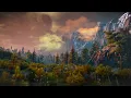 The Fields of Ard Skellig & Rain Ambience | The Witcher 3