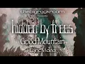 Hidden By Trees - Good Mountain [Lyric Video] [Original Music from thebigrockroom]