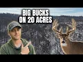 Give Me 17 Minutes and I ll Show You How to Build a Huntable System on 20 Acres Hill Country