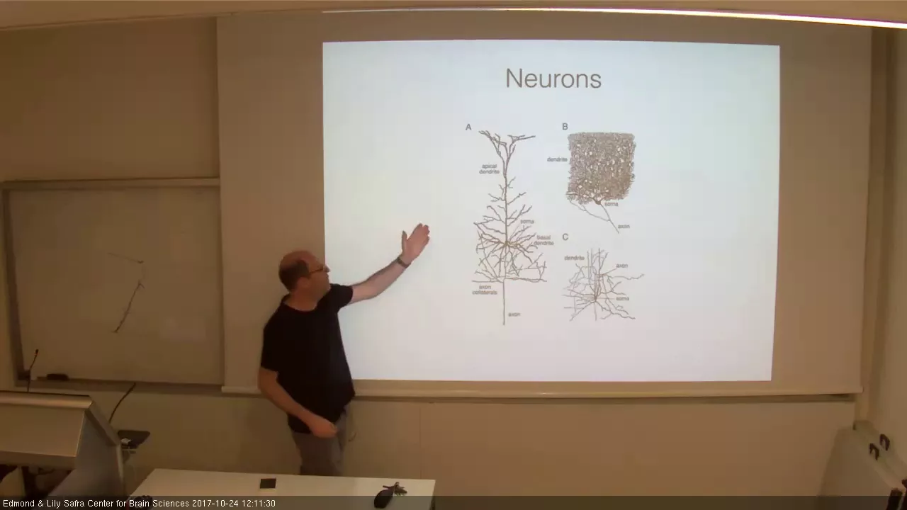 THEORETICAL AND COMPUTATIONAL NEUROSCIENCE B 24102017