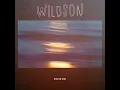 One on One (feat. Astyn Turr) - Wildson
