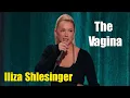 Iliza Shlesinger The Vagina is Self-Cleaning Iliza Shlesinger 2025