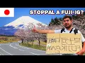 Download Lagu STOPPOLTAM JAPÁNBAN, NEM ÖRÜLTEK NEKI… 🇯🇵 Japán
