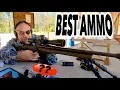 Best Budget 22lr Ammo
