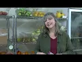 Rhinelander Area Food Pantry offers online orders