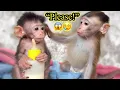 Lagu Cici Didn’t Want Her Own Bottle… What She Did Next Melted My Heart 🥹🍼