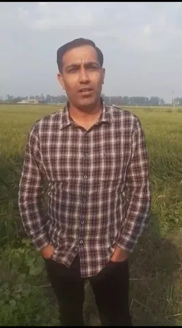 गेहूं की खेती के लिए कौन सी खाद संजीवनी,कैथल के किसान ने किया खुलासा|  वनइंडिया हिंदी