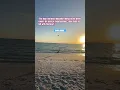 Download Lagu A Peaceful Day #ocean #heron #beach #youtubeshorts