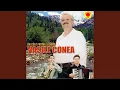 Download Lagu De ce cand ne intalnim