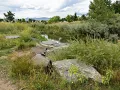 The Ralston-Central Park
