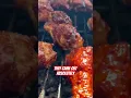 Download Lagu Deze kippenvleugels waren geweldig! #bbq #koken #bbqkip #happy4thofjuly #recept #bbqvleugels 🔥🔥