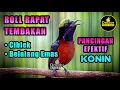 Download Lagu TEMBAKAN KOLIBRI NINJA GACOR FULL ISIAN NGOBRA ROLL TEMBAK RAPAT COCOK UNTUK PANCINGAN KONIN BAHAN