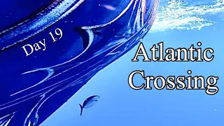 Look What we Found!!? | Sailing Wisdom [S3 Ep32]