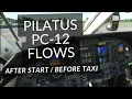 WALKTHROUGH Pilatus PC-12 After Start Before Taxi Flows Legacy