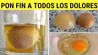 Sumerge un HUEVO en VINAGRE por 1 SEMANA🥚 Esta Receta CURÓ mis dolores de Rodillas, Espalda y Huesos