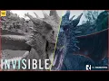 Invisible - VFX Breakdown by El Ranchito
