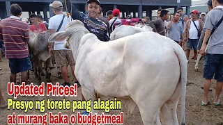 Padre Garcia Batangas livestock auction market Bentahan ng baka tuwing araw ng biyernes