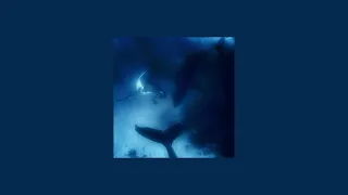 كايروكي   أنا نجم     بدون موسيقى                  دندنها