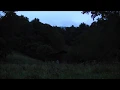 Download Lagu Night Time in the mountains - 10 hours of HD Frogs, Crickets, Cicadas and other insects.