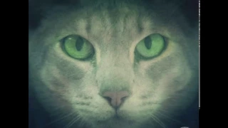 marascia u0026 frank deka vortango original mix suara 