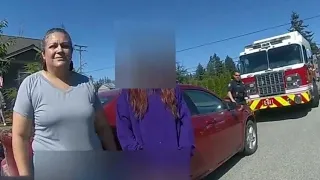 Carjacking with child inside Arrested