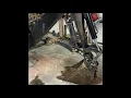 Have you seen my junky 3 point Backhoe Titan LW-6