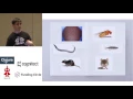 WormBase database migration to Datomic on AWS A case Study - Adam Wright