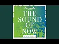Swedish Beauty Original Mix Edit