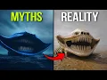 Download Lagu 7 mythische zeedieren die echt hebben bestaan ​​- deel 2
