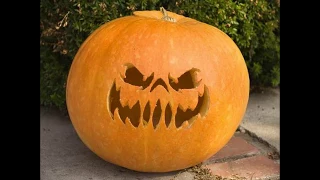10 Funny Scary and Easy Pumpkin Carving Ideas